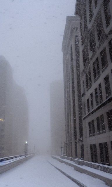 Snow storm in the city.