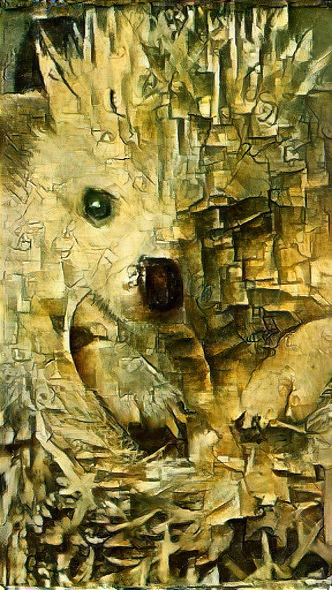 Sherwood Snuffles-Jones Picasso