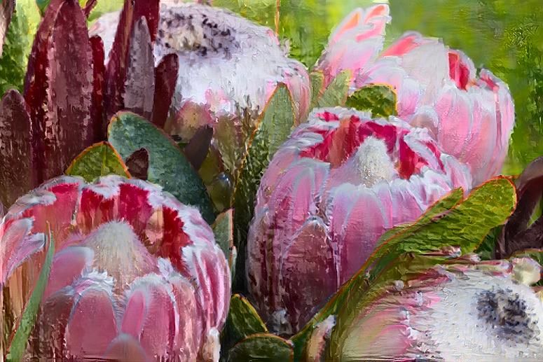 Proteas2