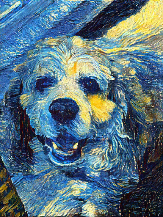 Dogo