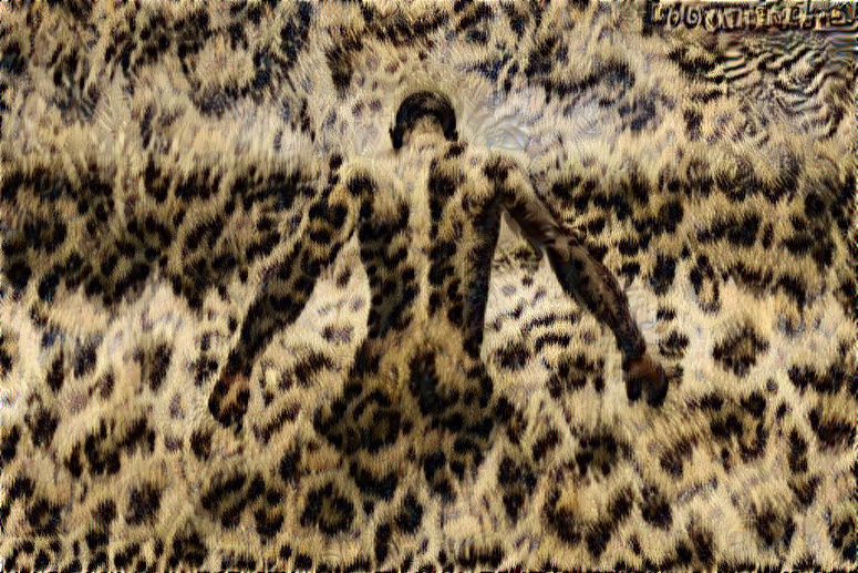 big cat energy