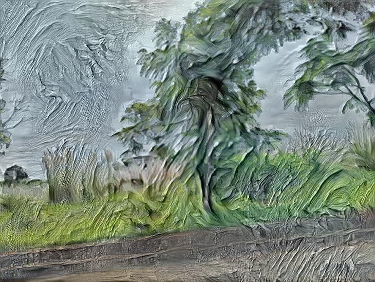 Nature beside concrete