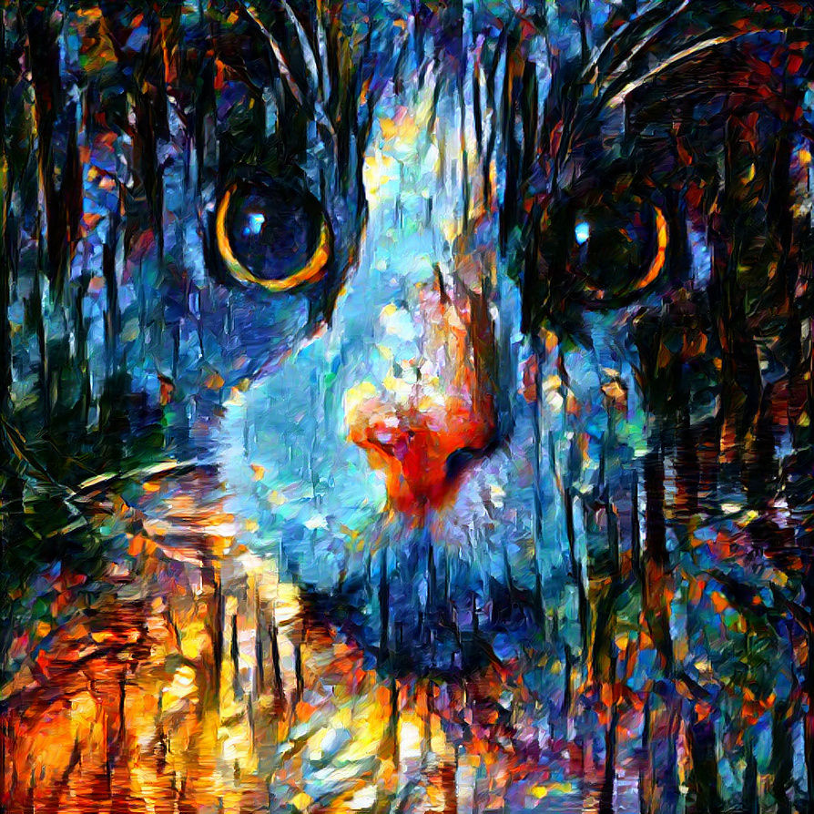 Stewie the Cat