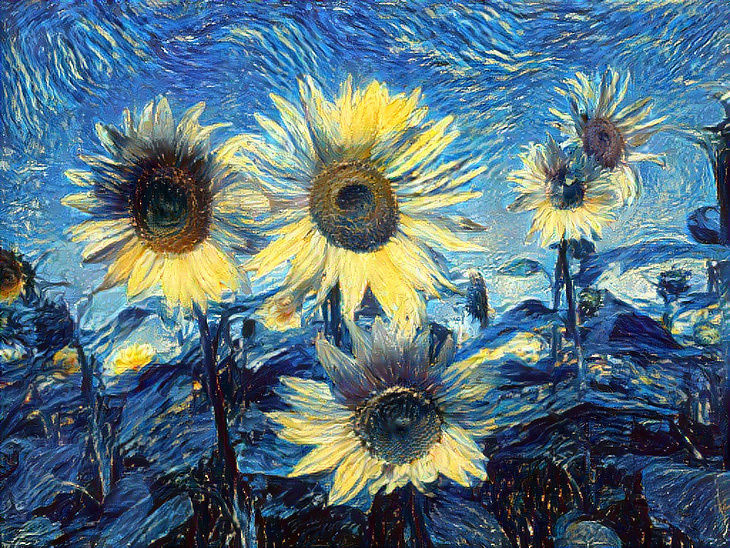 Starry Sunflowers