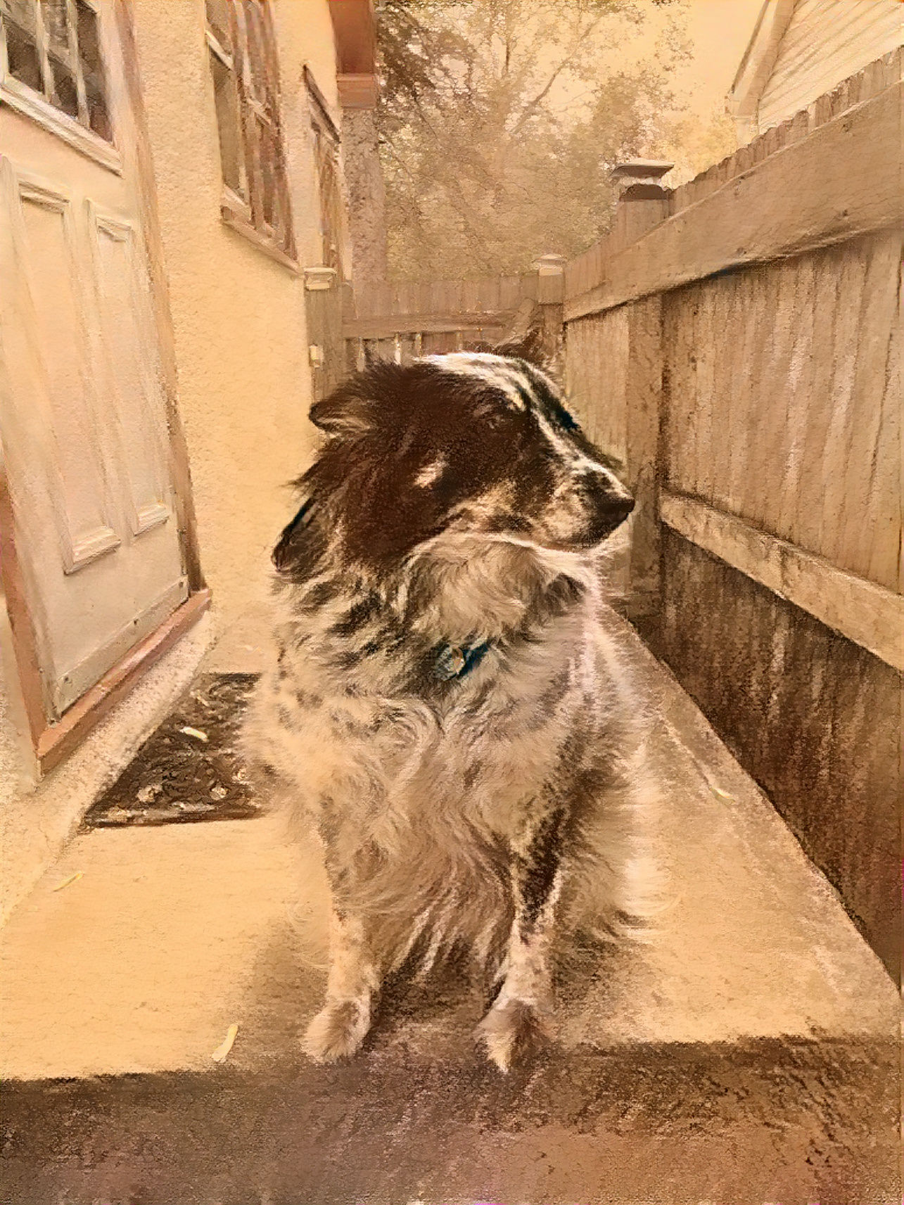 Cedar transformed using my conte crayon drawings as style transfer