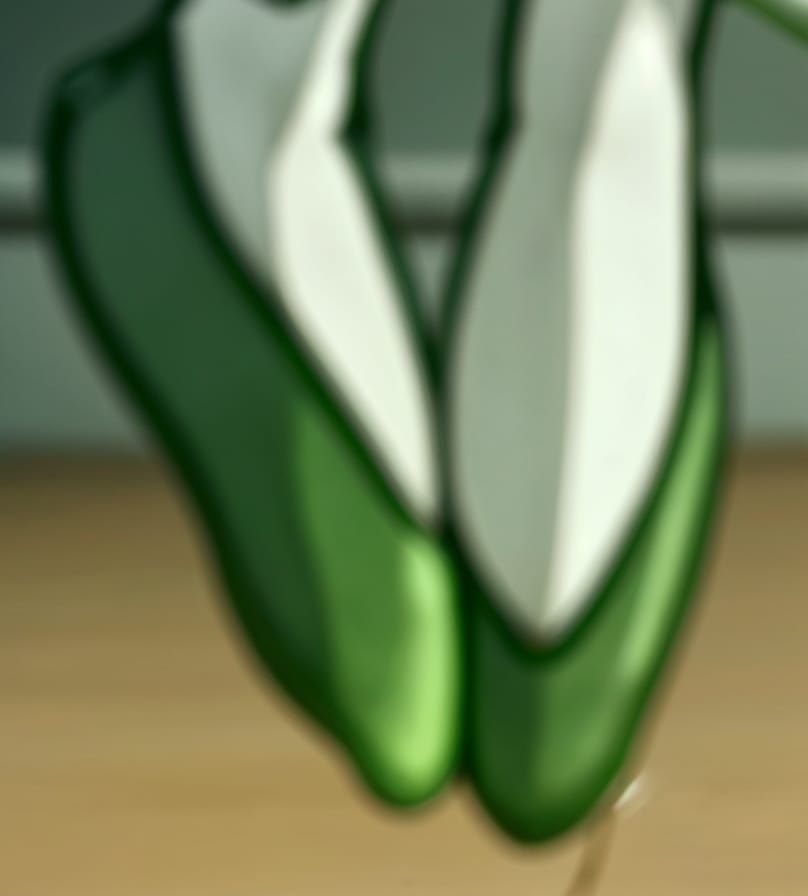 Cosmo the Seedrian's Green Flats #8