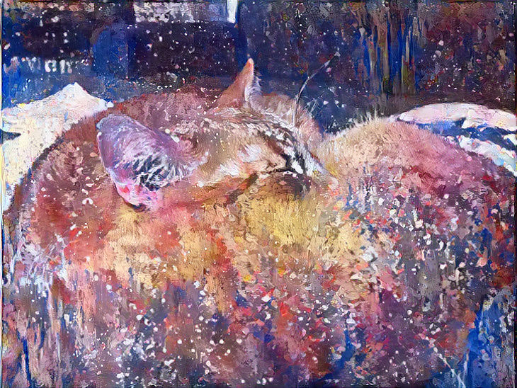 Never be like sleeping cats