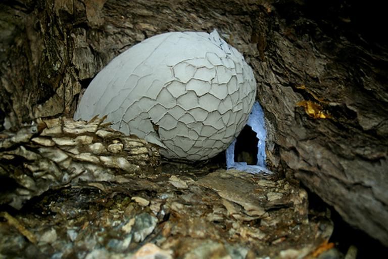 a cave with a big dragon egg AI Generated Artwork NightCafe Creator