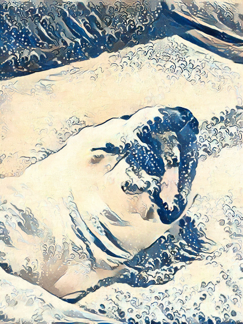 The great wave boxer dog pt. 2