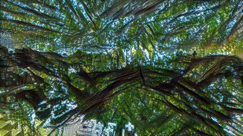 Forest Minecraft valley