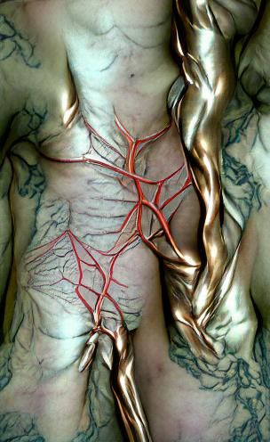 Bronze Arteries / Silver Veins