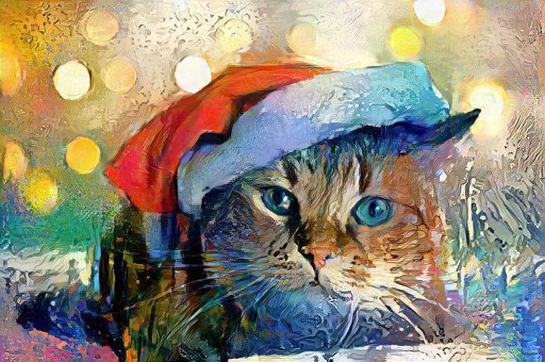 A Xmas Kitten