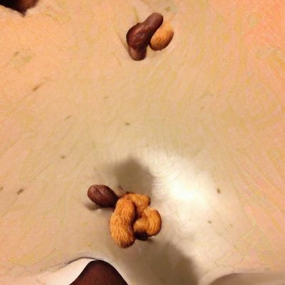 Deez Nuts