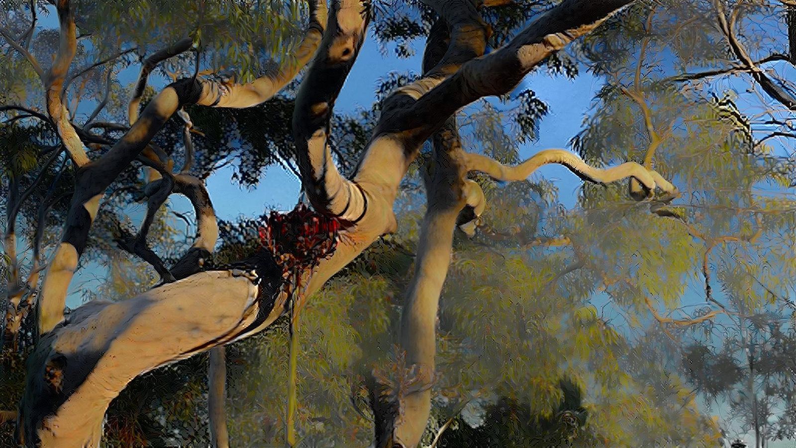 Trees in a caricature style but original colour