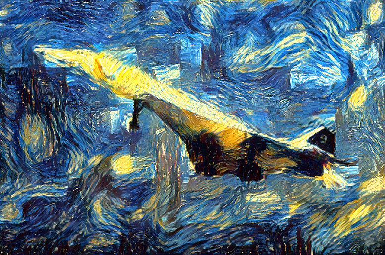 concorde on a starry night