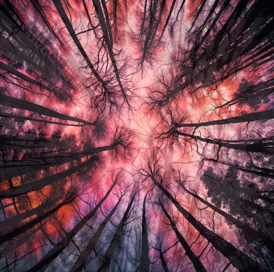 Never Look Up (Again)!