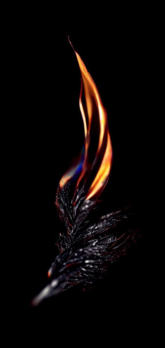 The Burning Wing
