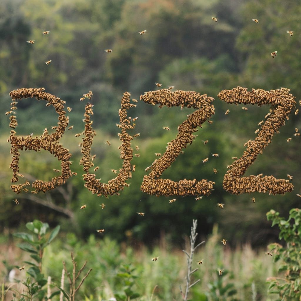 The word buzz spelled out by a swarm of bees  by @Kallistratia