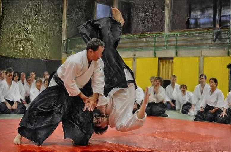 Fluid Aikido