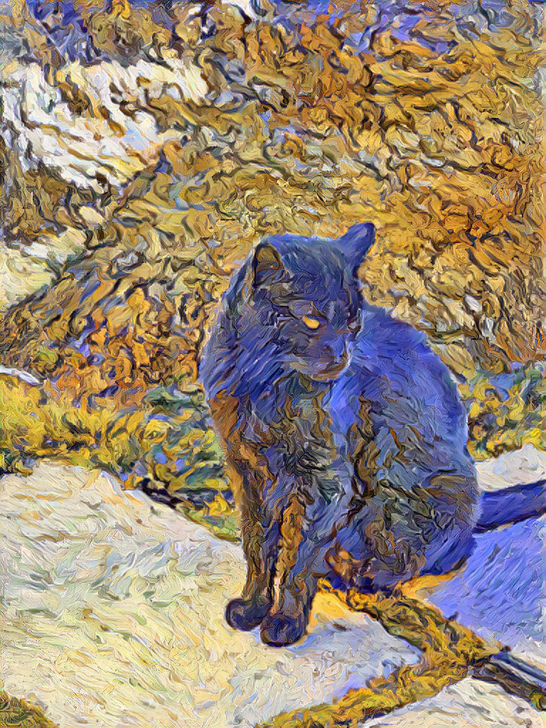 A cat in Pompeii