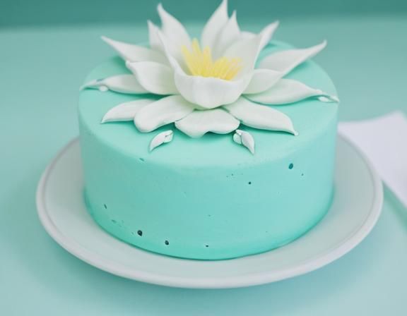 gorgeous decorative dessert(food)(detailed feature)(Vivid Bi...