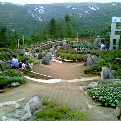 kilian eng mountain garden