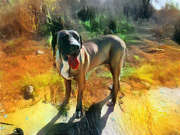 Hellhound 