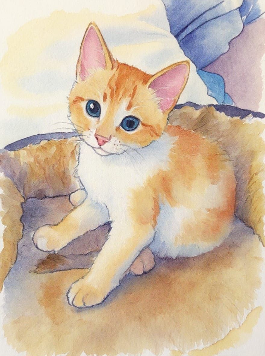 The kitten gently turns its head away to the right towards its back as though about to clean itself