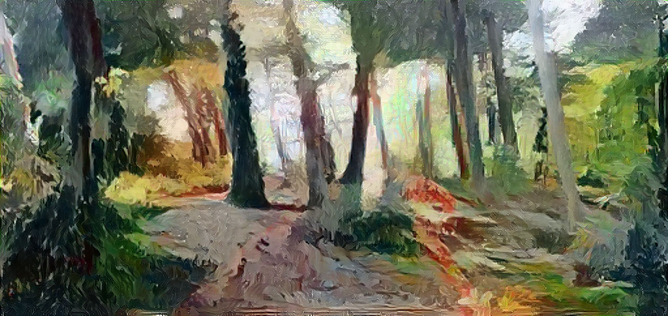 Forest Trail
