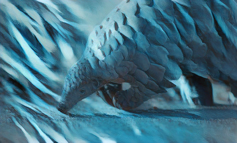 Sand.