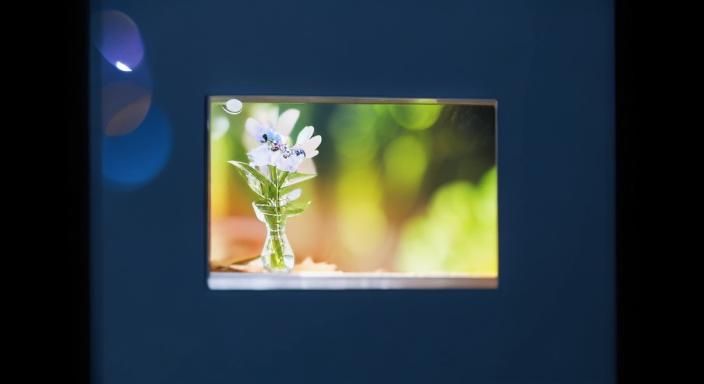 Ambasa OS 3.07.2013

, 


Professional photography, bokeh, n...
