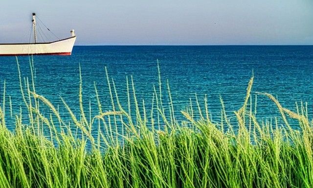grass and sea