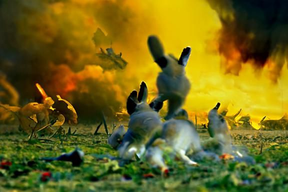 Watership Down v2