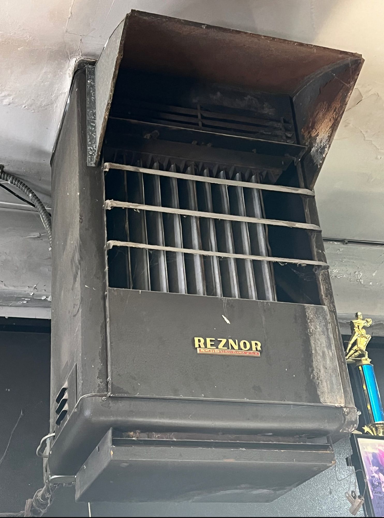 The moopsy was a small predatory animal known for "drinking" bones. Belying its cute and harmless appearance, it was capable of launching it...