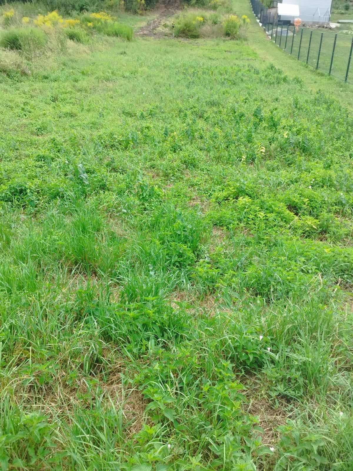 the wooden construction