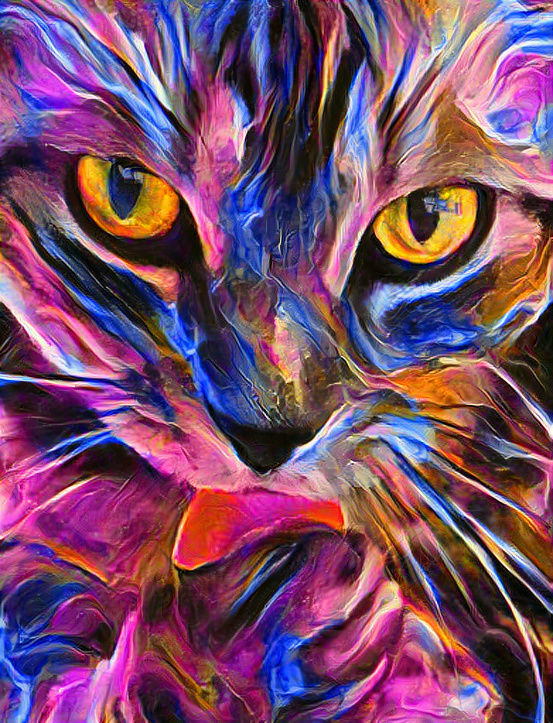 HERE KITTY KITTY 