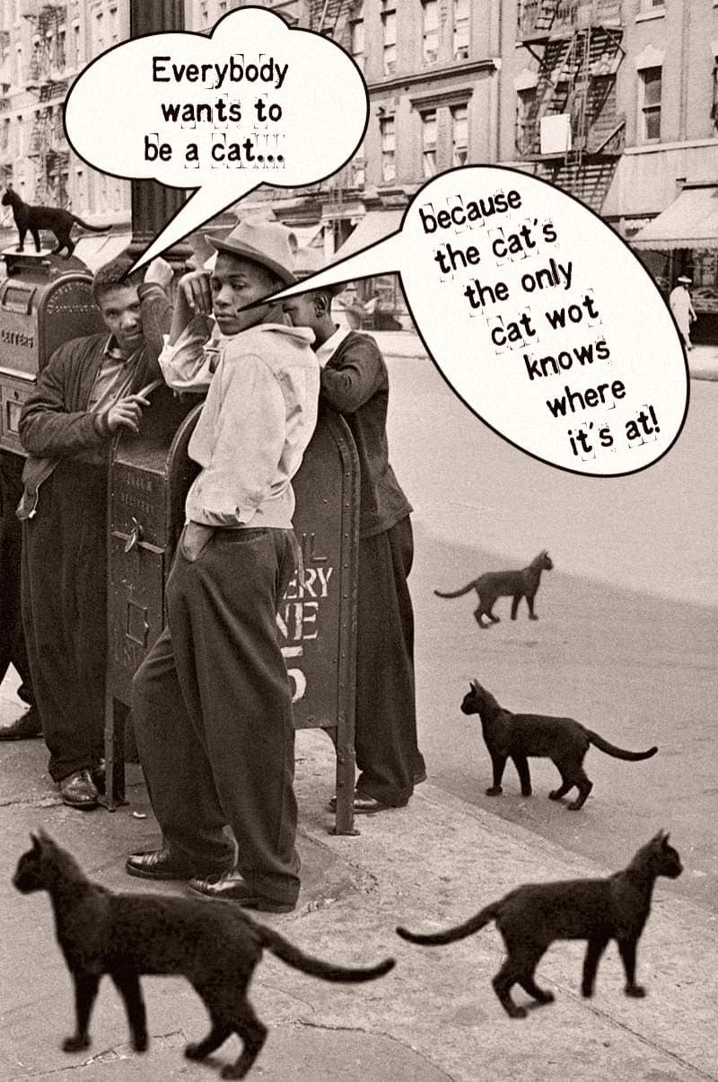Ev'rybody wants to be a cat...