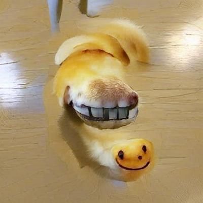 smiledog