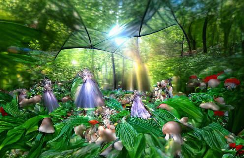 dense leafy enchanted elven forest, fairies, flowers, mushro...