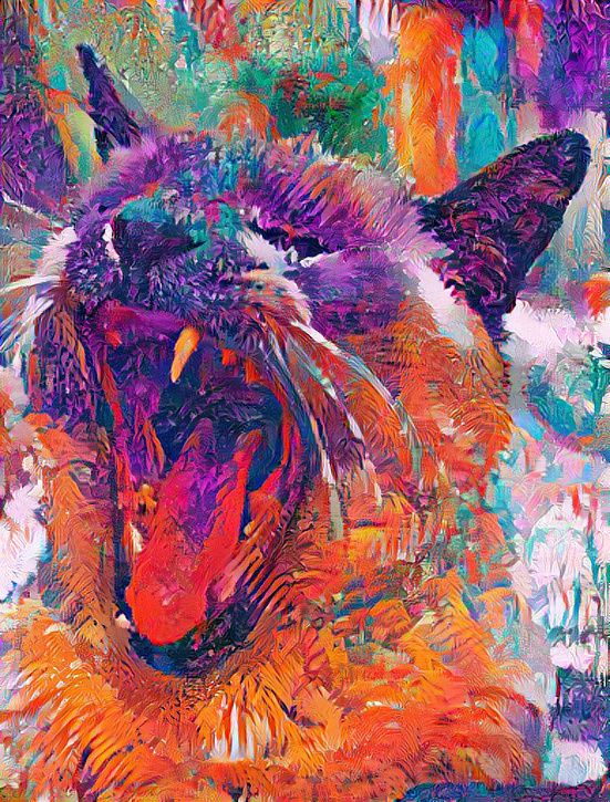 Minou The King