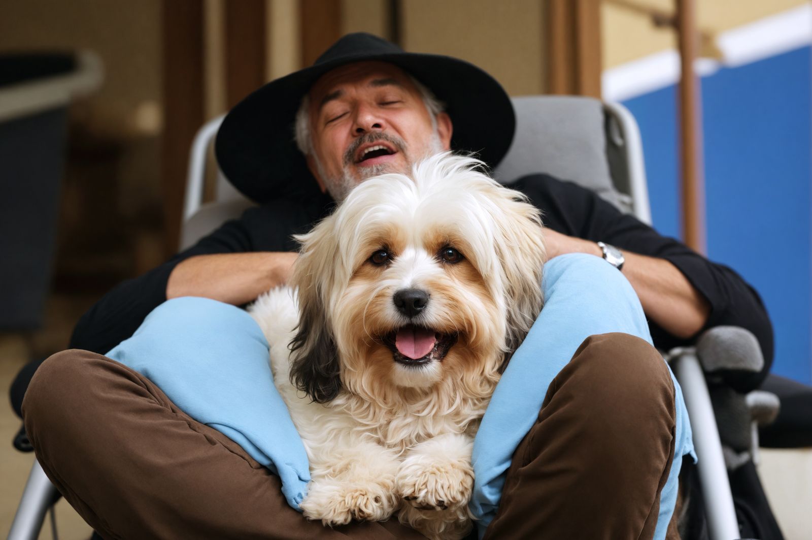 man yawning with a apricot havanese dog in lap