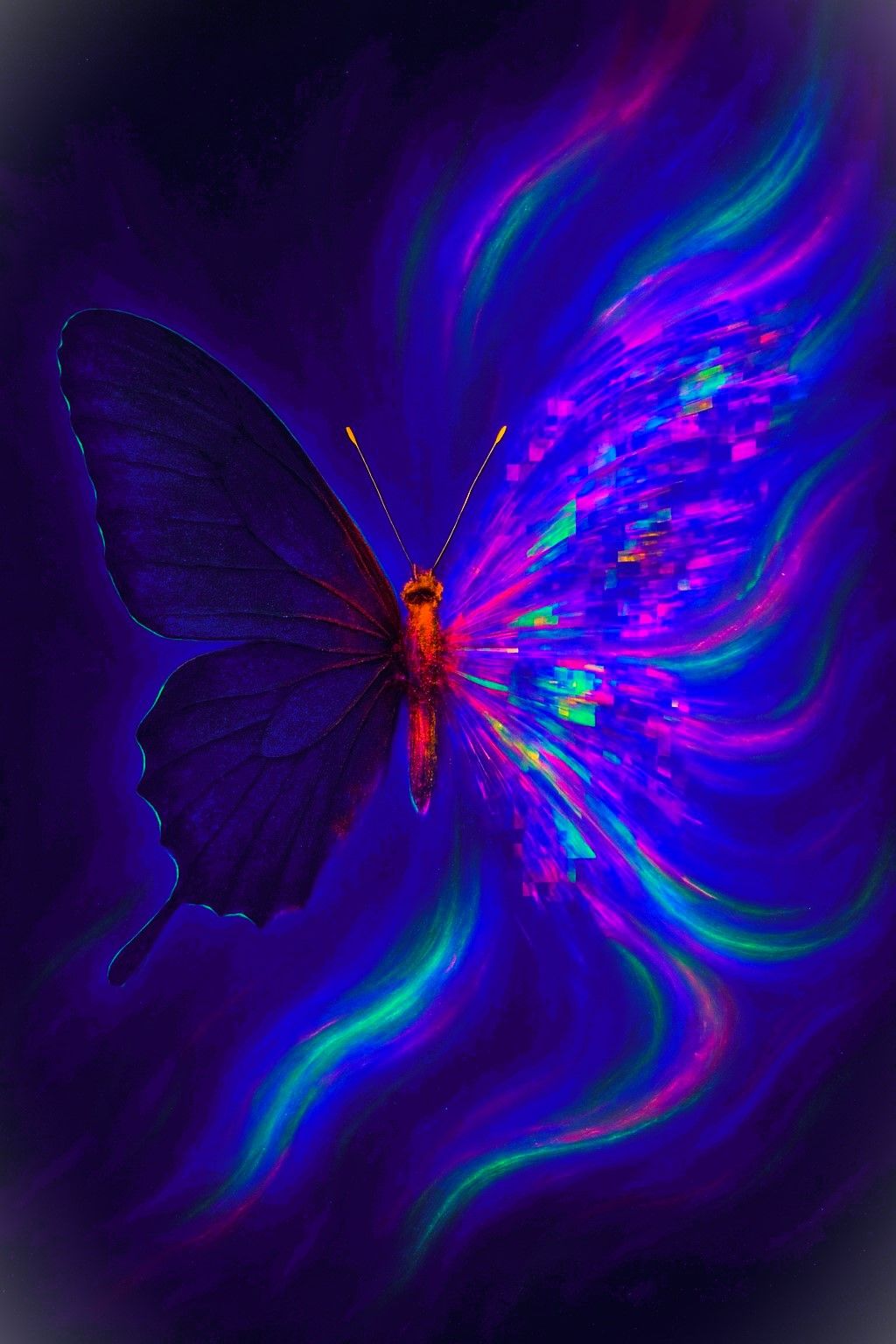 The Glitchfly Aurora