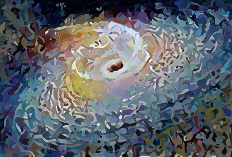 cartoony black hole