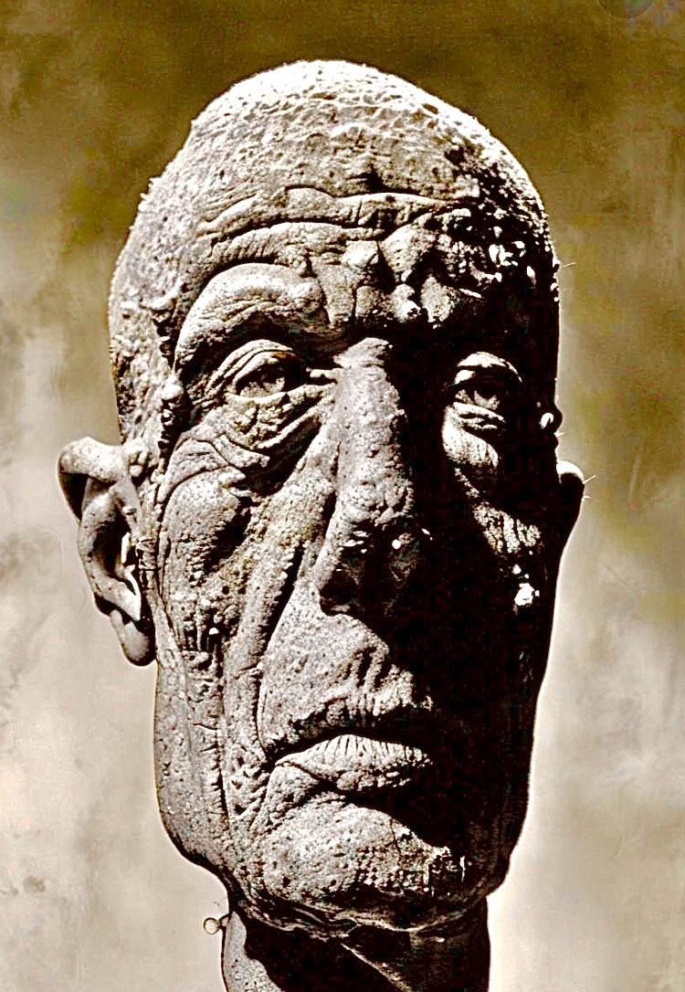 Bust of Nolan