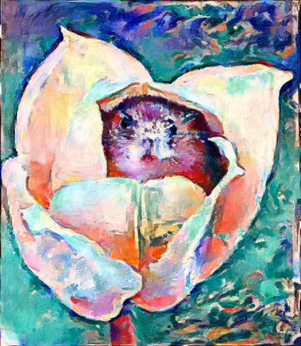 Mouse Napping in Flower