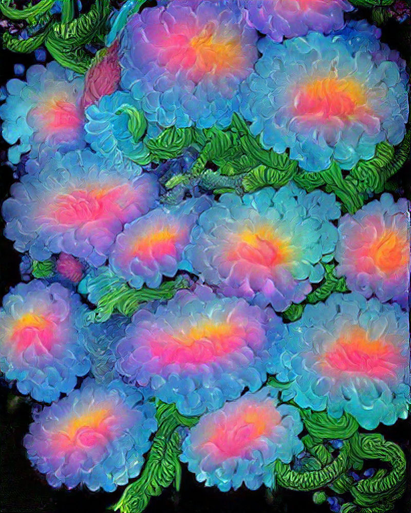 Cotton candy marigolds 