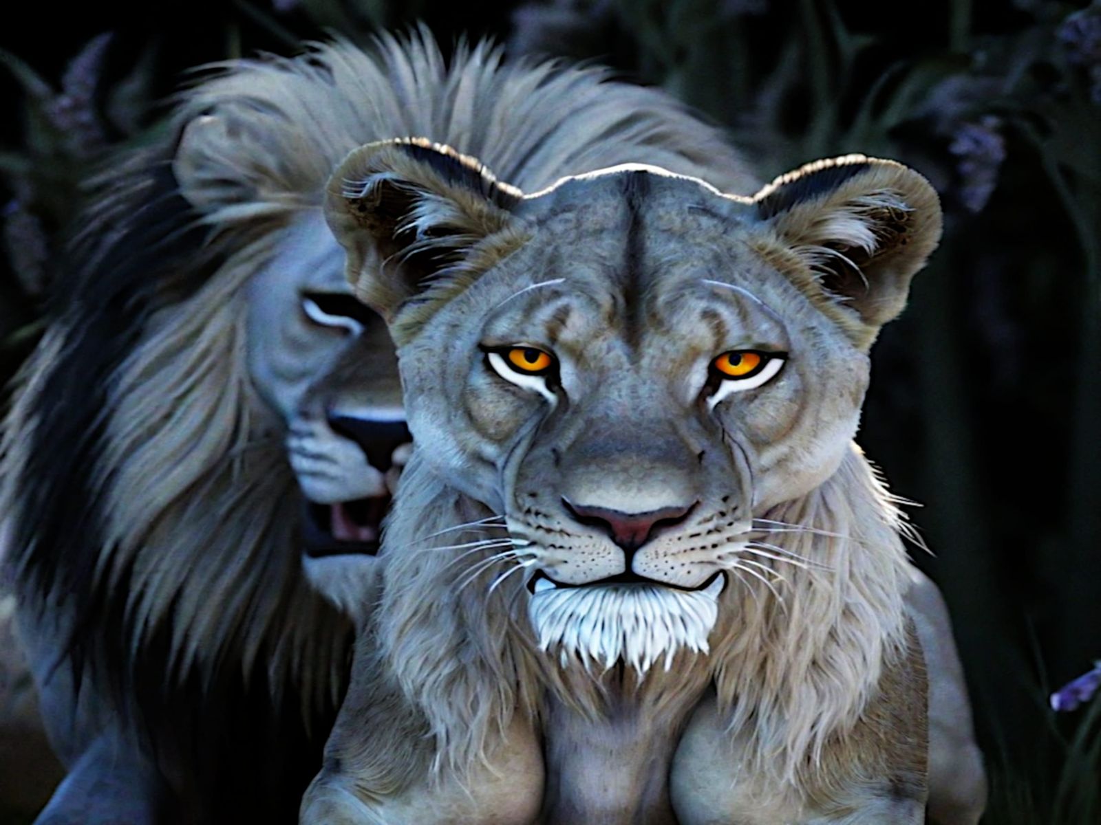 Albino Lions