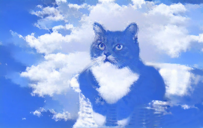 sky cat