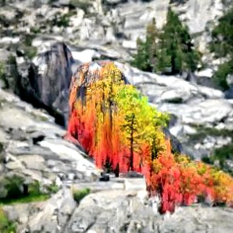 Yosemite national park beautiful colors 8k beautiful view