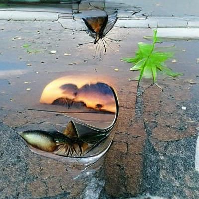 the reflection of life